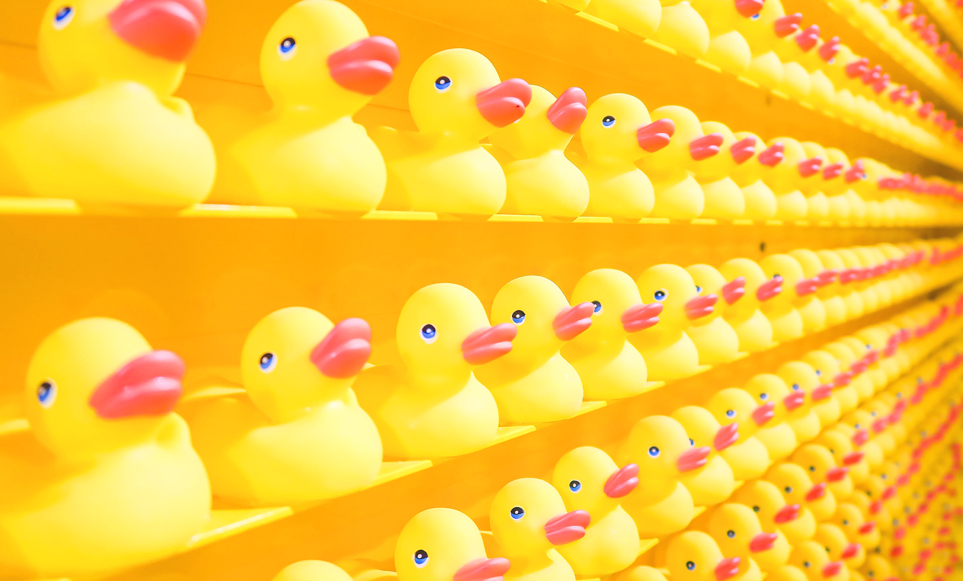 Marketing en Redes Sociales - BeBrand